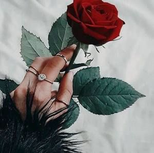 Meet your Posher, Noemi